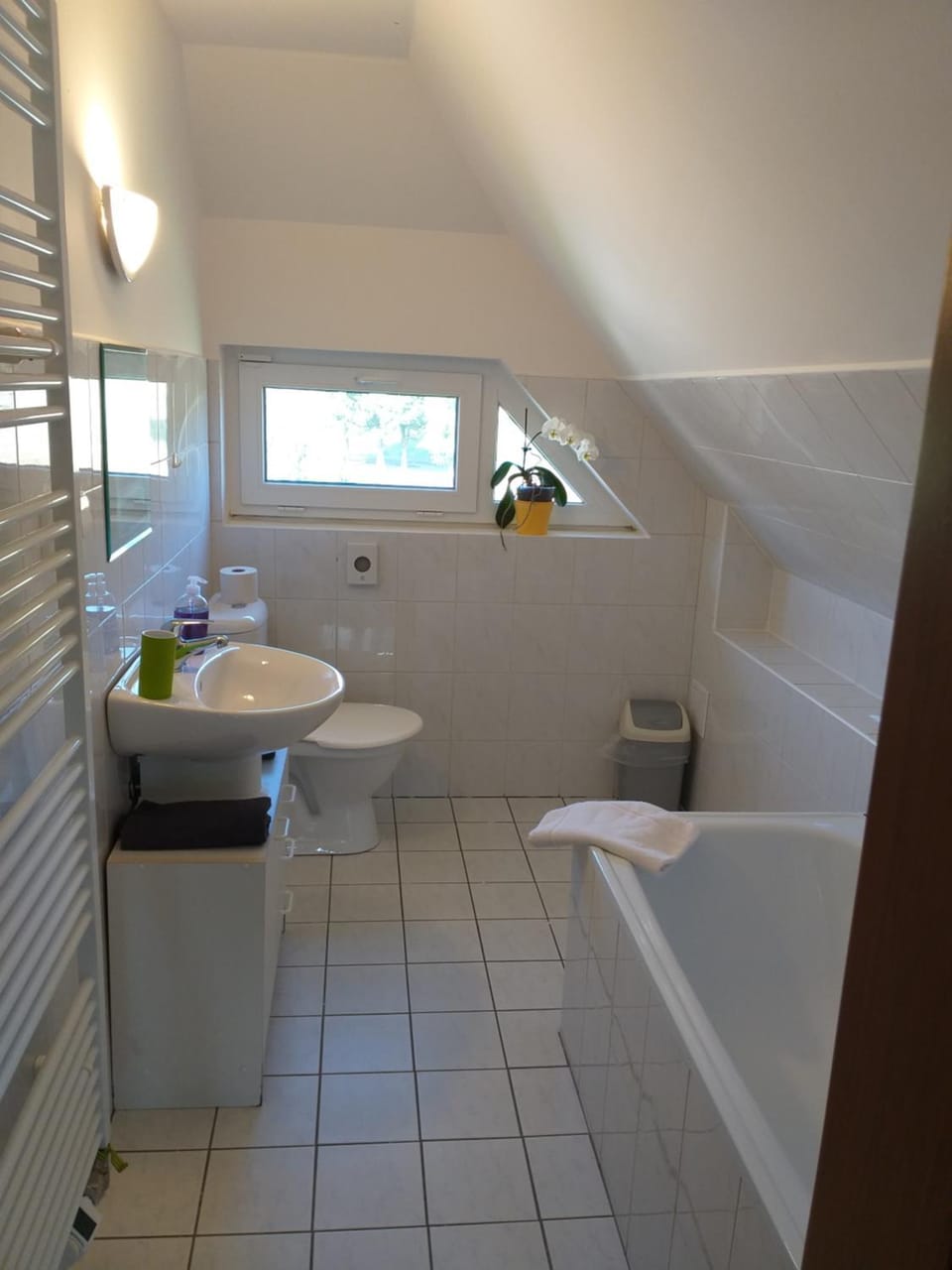 Toilet, Bathroom