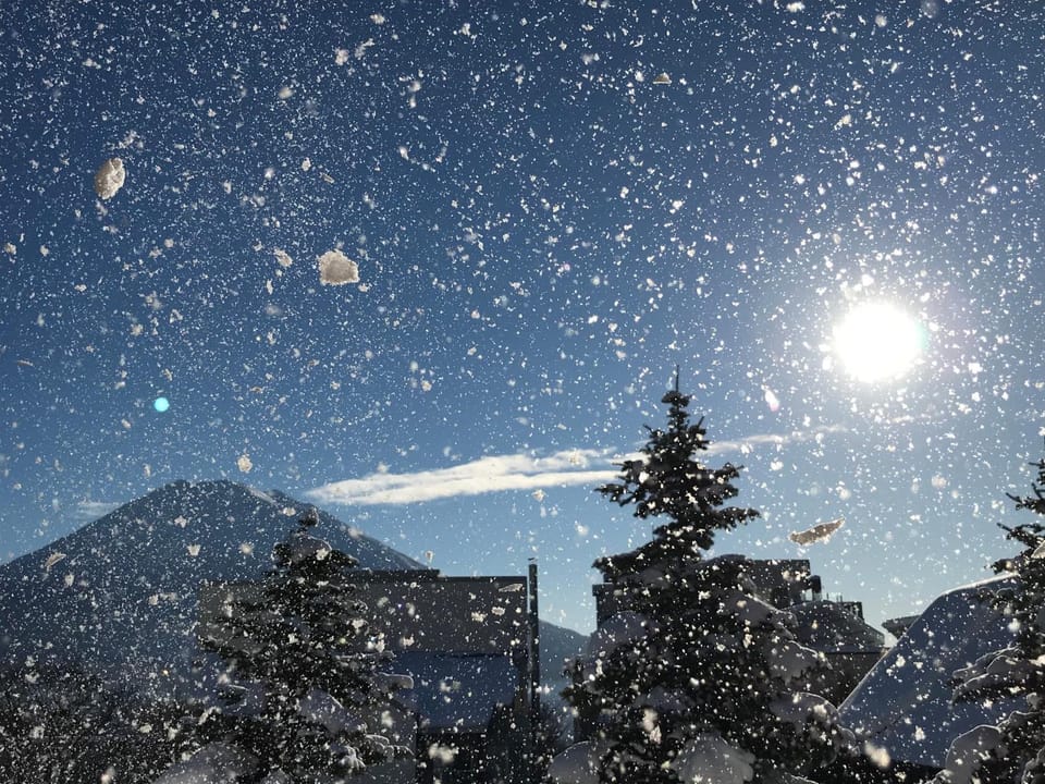 Pension Berg Nature lodge in Niseko