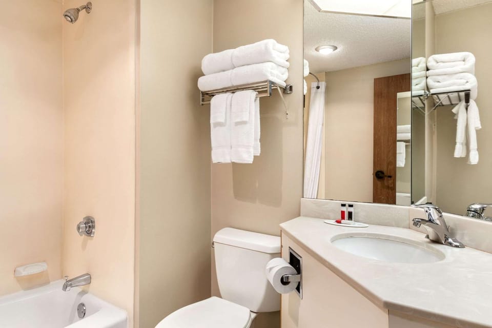 Bathroom, Photo of the whole room, On site