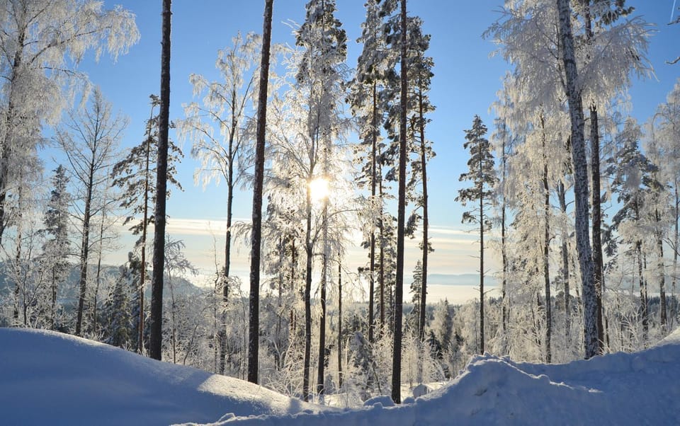 Natural landscape