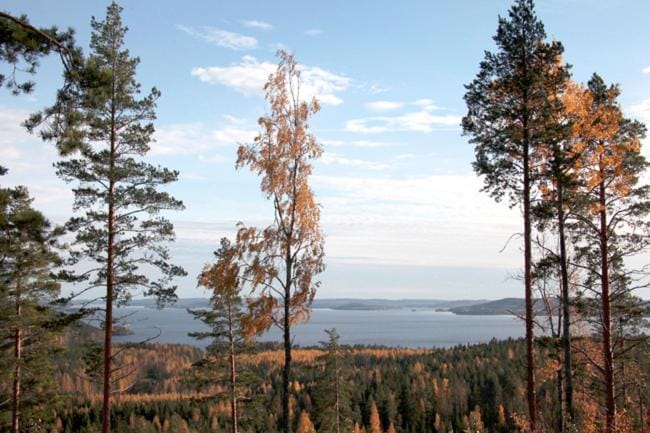 Natural landscape, Lake view