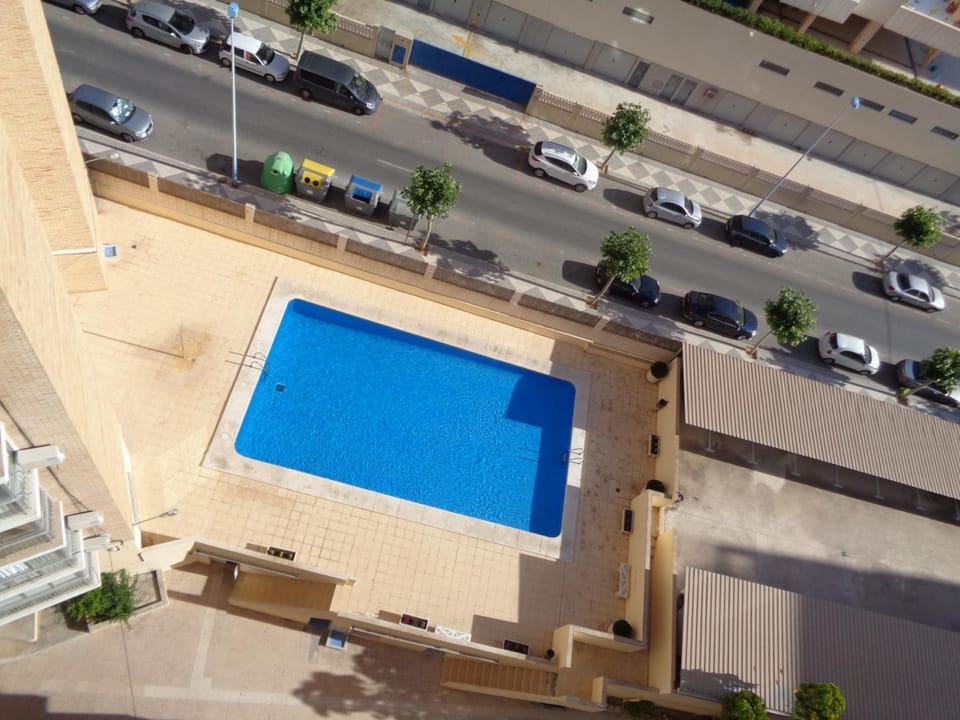 Swimming pool, Swimming pool