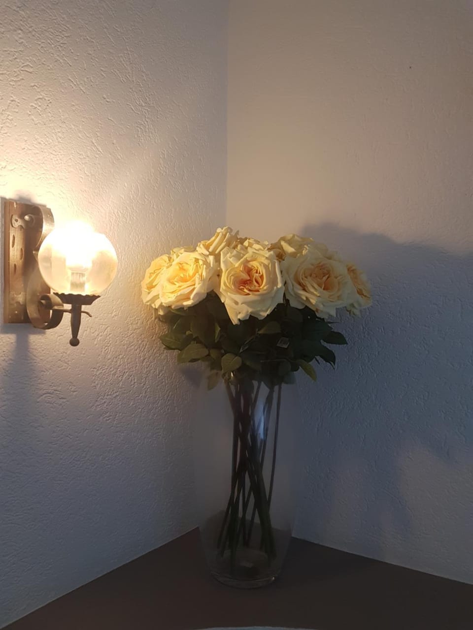 Hotel Simplon-Blick Hotel in Canton of Valais