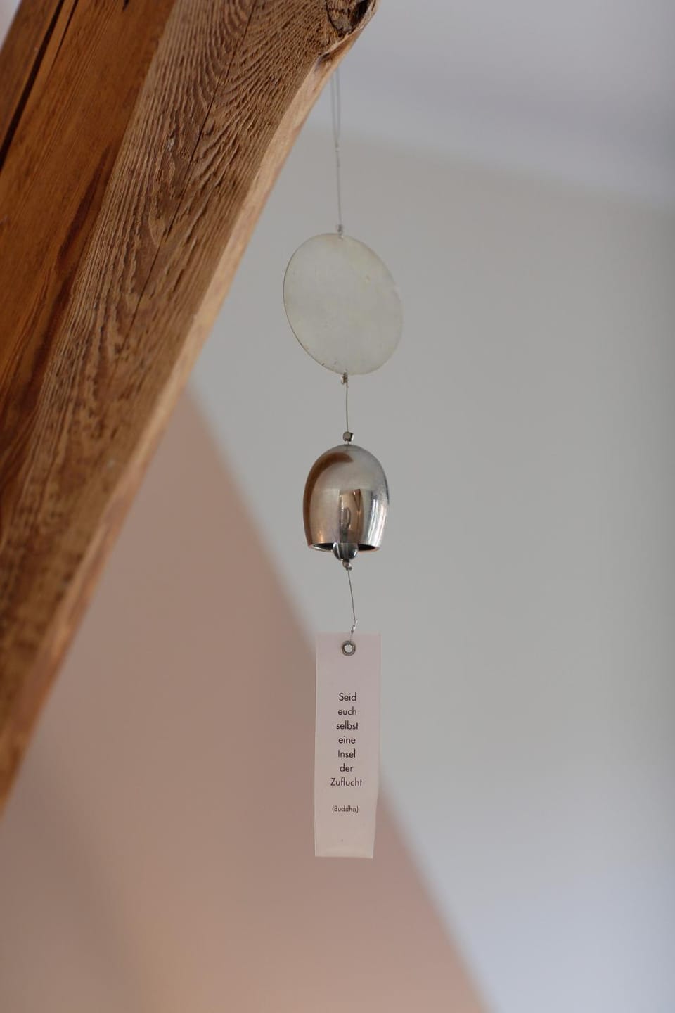 Lieblingswohnung im Elbtal Apartment in Dresden