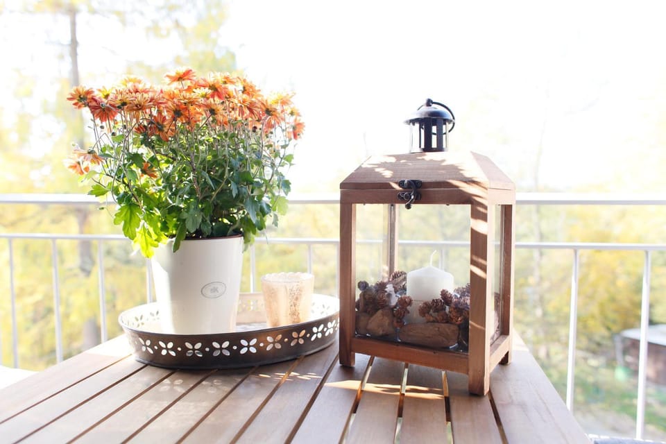 Lieblingswohnung im Elbtal Apartment in Dresden