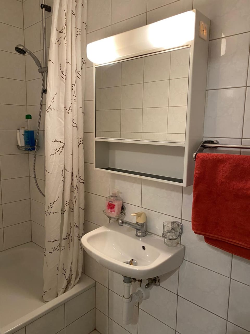 Shower, Bathroom