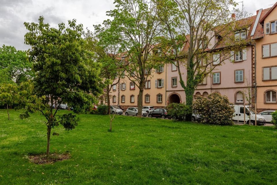 Property building, Spring