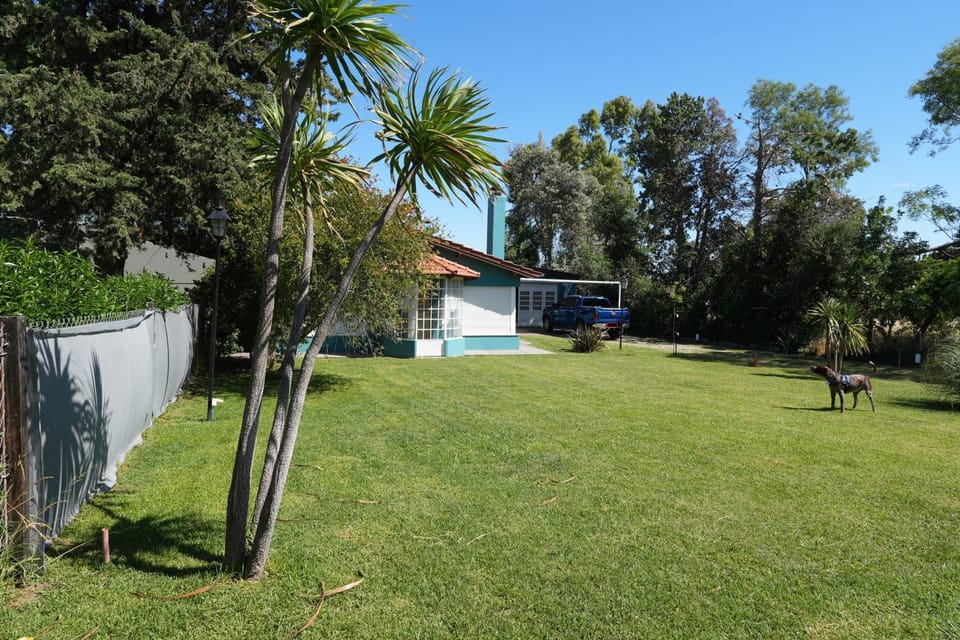 Natural landscape, Garden, Garden view