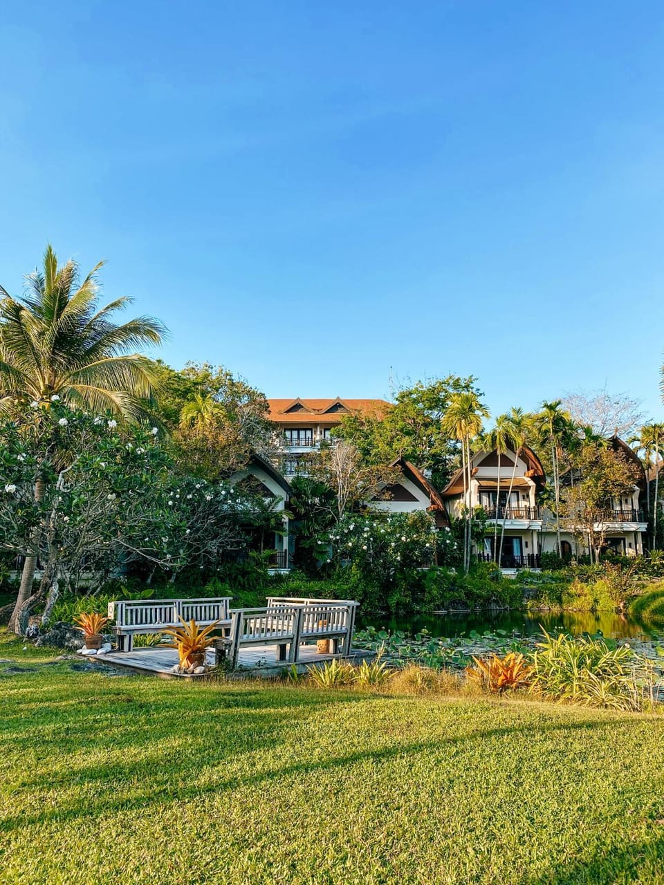 Natural landscape, Garden, Garden view, Area and facilities