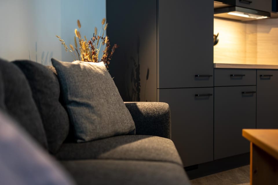 Living room, Decorative detail, Seating area, kitchen