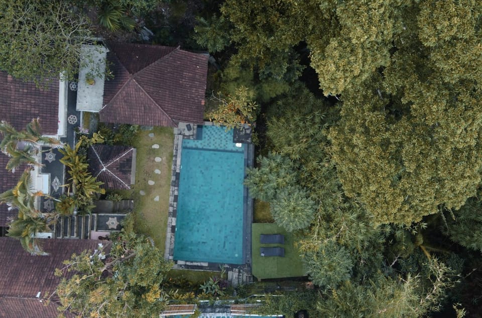Bird's eye view, Pool view, Swimming pool
