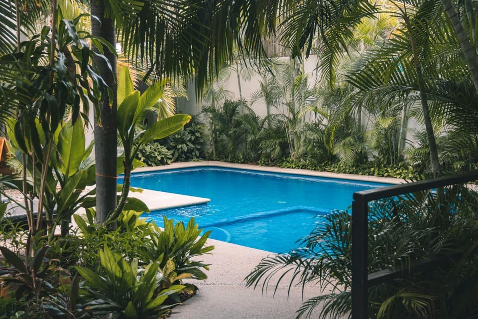 Garden, Swimming pool
