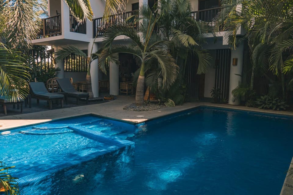 Garden, Garden view, Pool view, Swimming pool