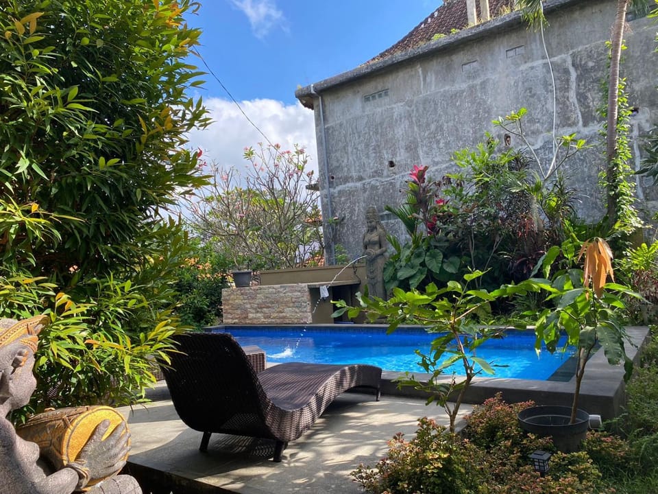 Garden, Swimming pool, sunbed
