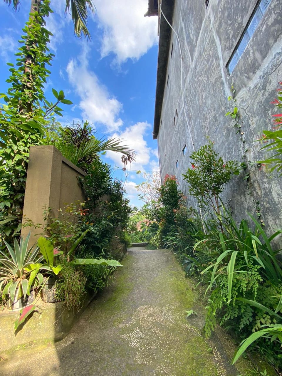 Spring, Day, Garden view, Street view
