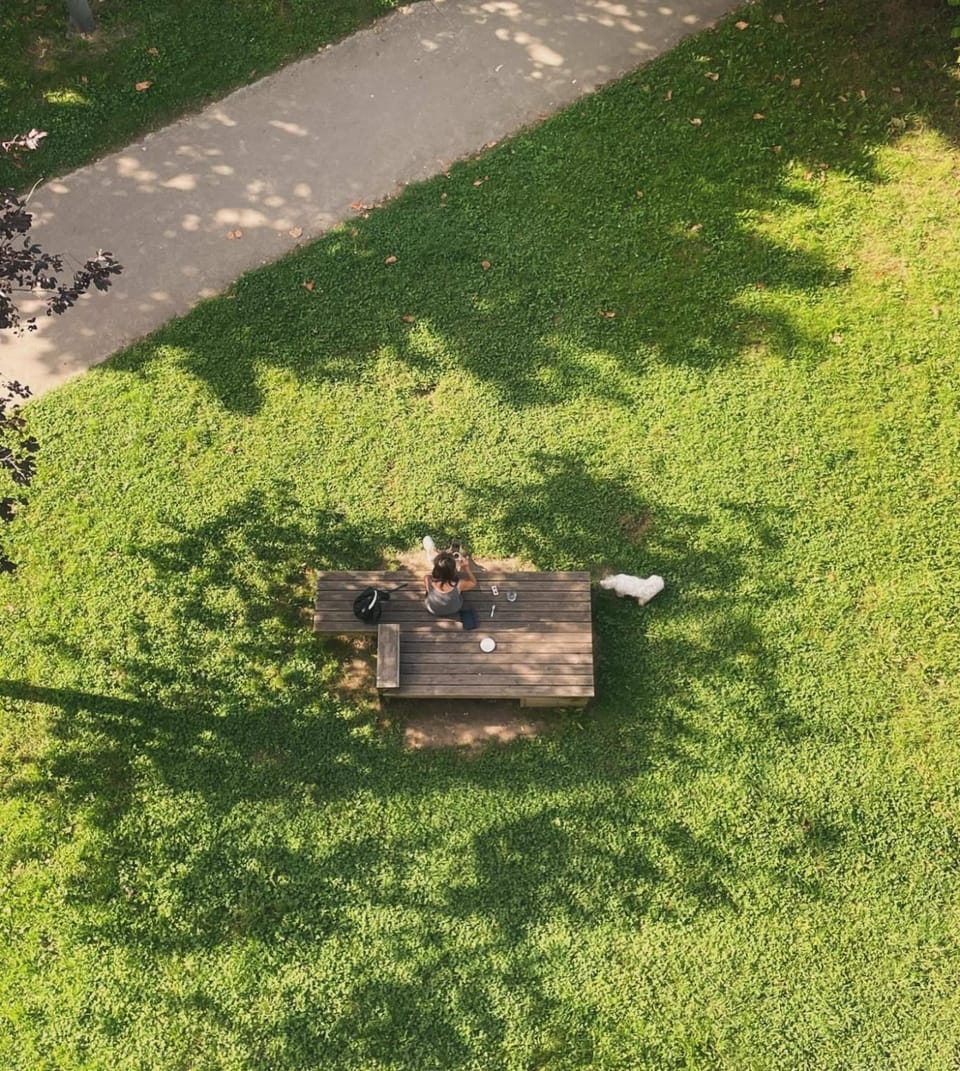 Garden view