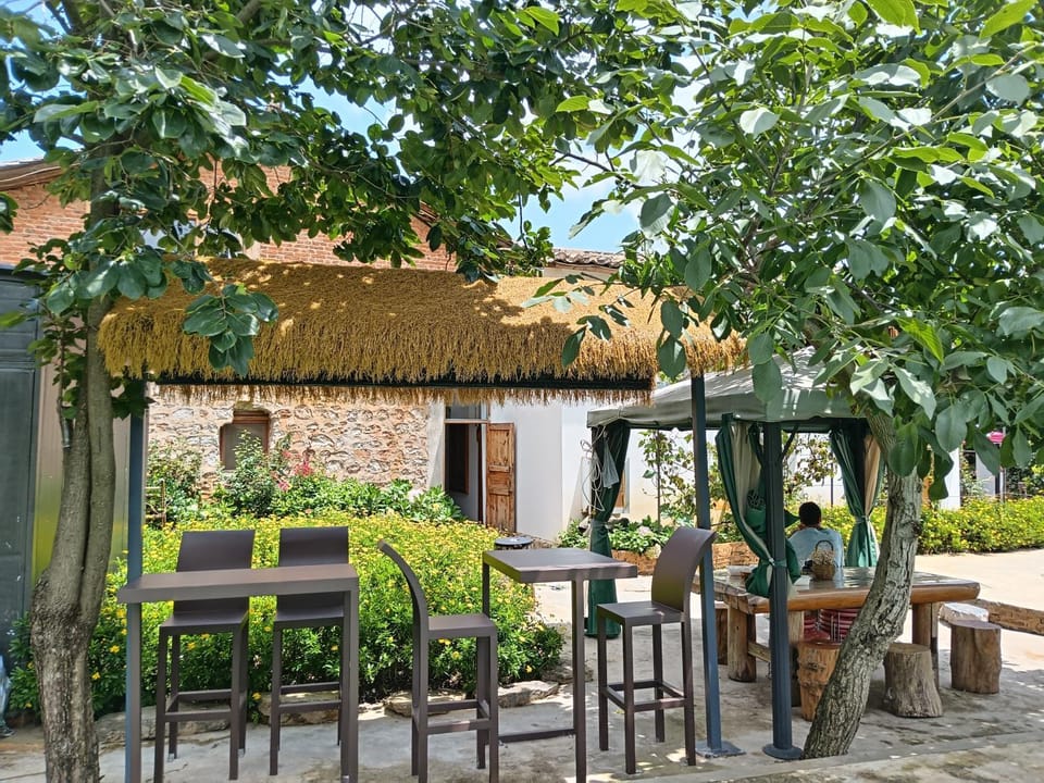 Property building, Patio, Day, Garden, Dining area, Garden view