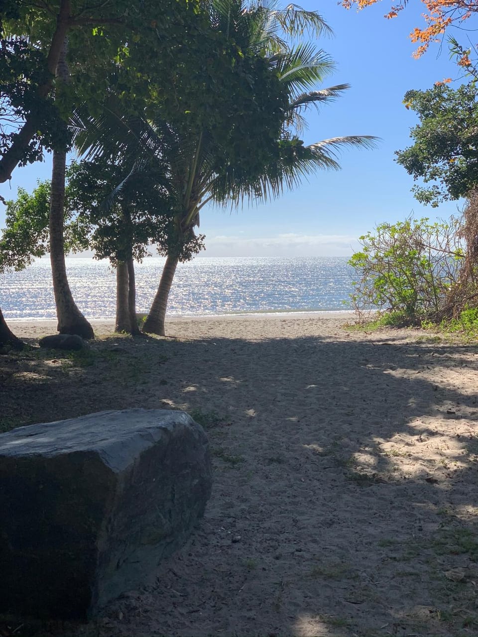 Beachside 3 with Private heated plunge pool Apartment in Port Douglas