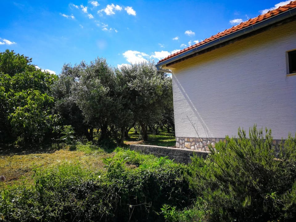 Ecohouse Oliveglia Nature lodge in Primorje-Gorski Kotar County
