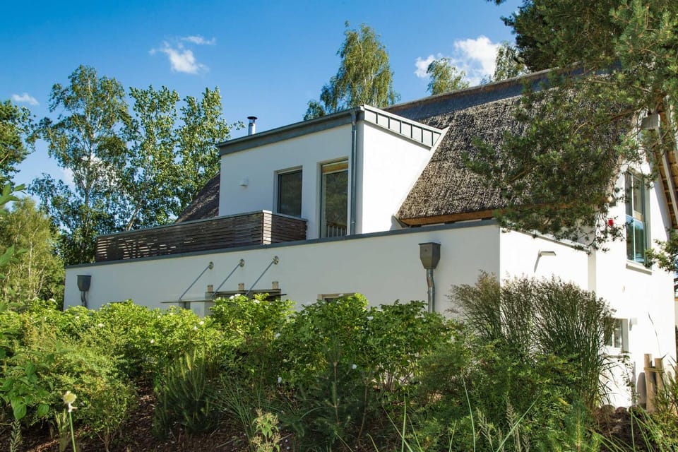 Property building, Garden view