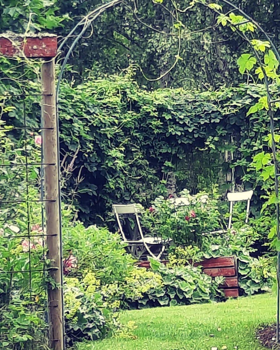 Vargheden B&B och trädgård House in Sweden