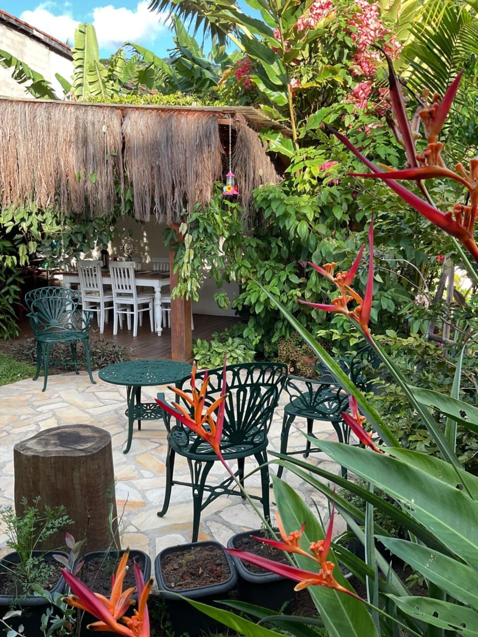 Patio, Garden, Dining area, Garden view