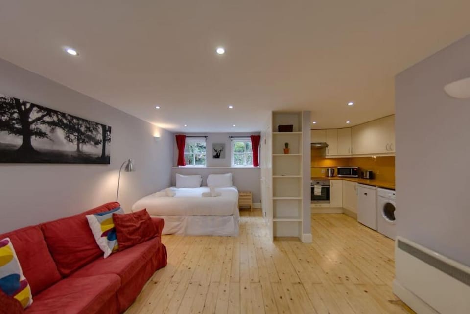 Bed, Kitchen or kitchenette, Living room, Photo of the whole room, Seating area, Bedroom, oven, stove