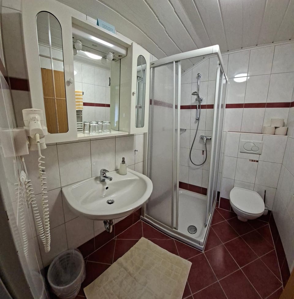 Pension Felsenheim Bed and Breakfast in Schladming