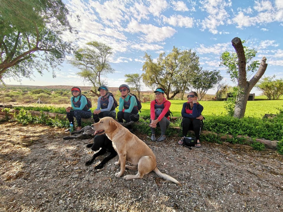 Natural landscape, group of guests