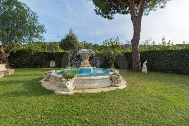 Day, Natural landscape, Garden, Decorative detail, Garden view