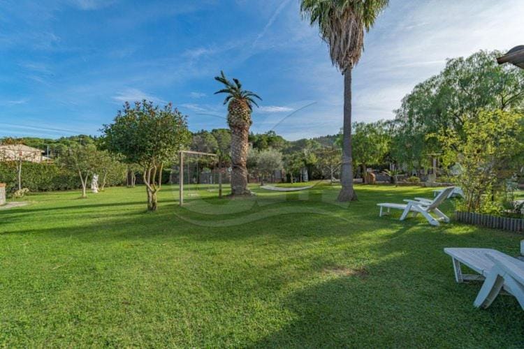 Day, Natural landscape, Garden, Garden view