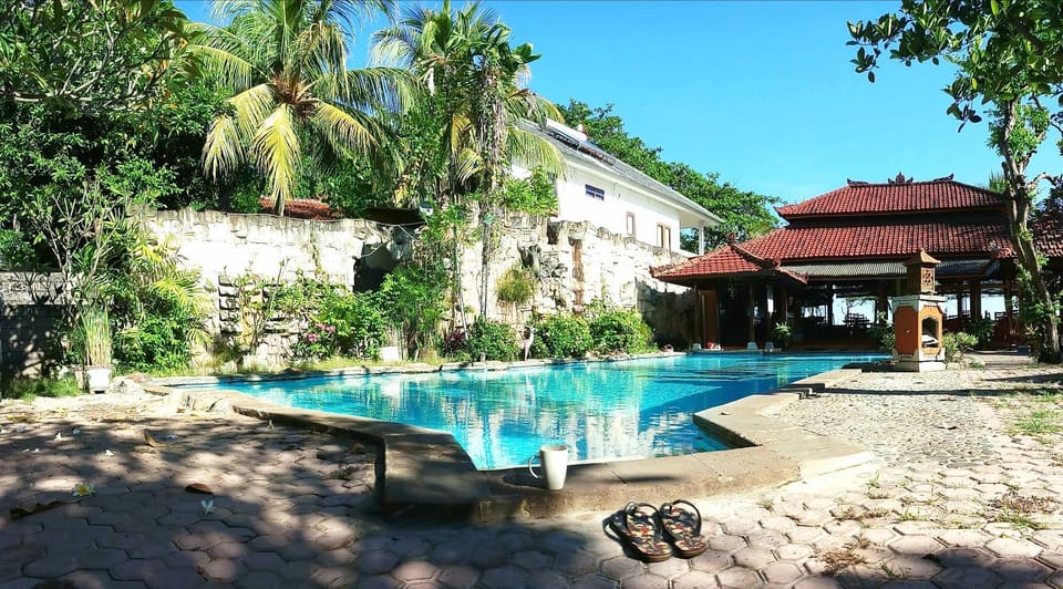 Day, Pool view, Swimming pool