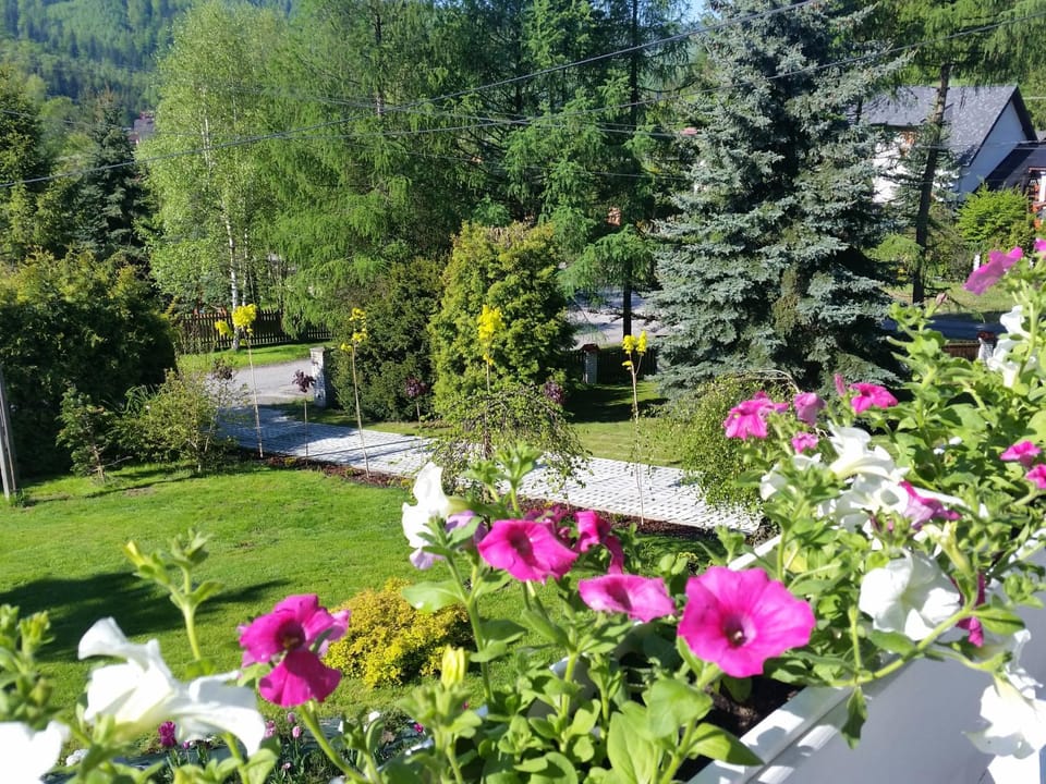 Garden view