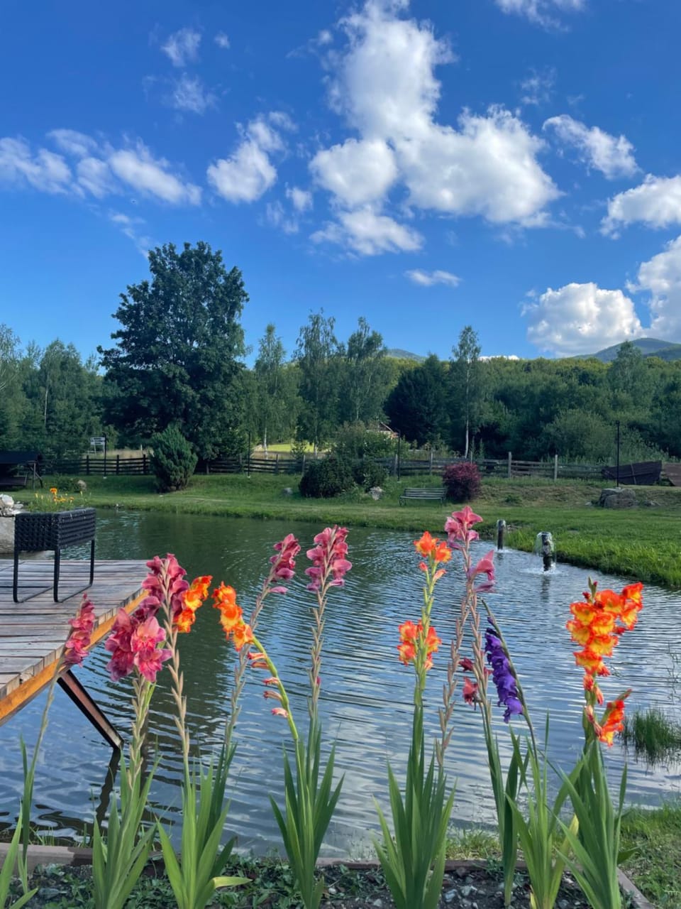 Valea Salbatica Resort in Brașov County