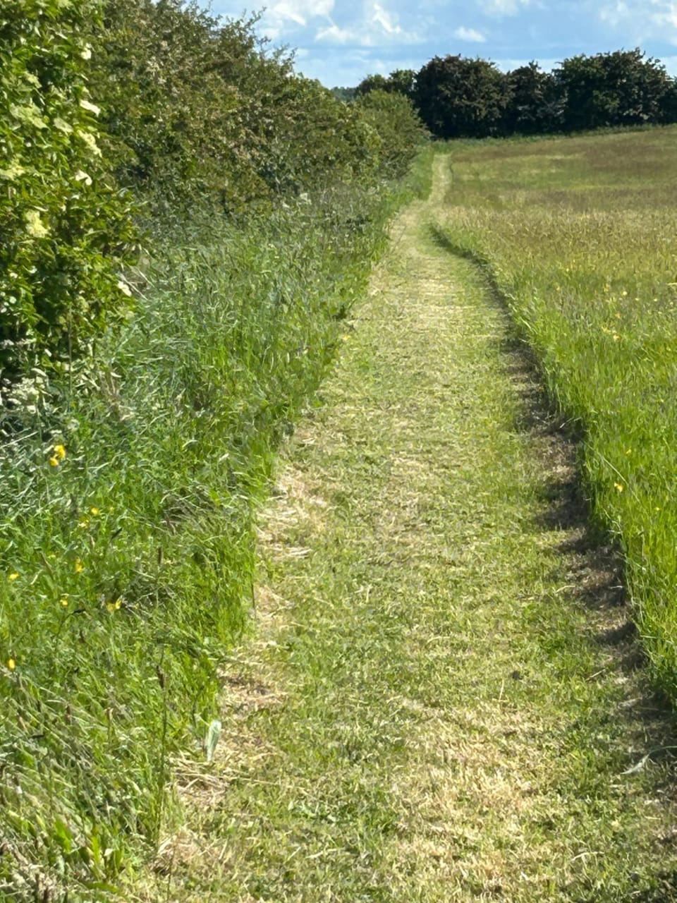 quiet secluded loft in County Durham Apartment in England