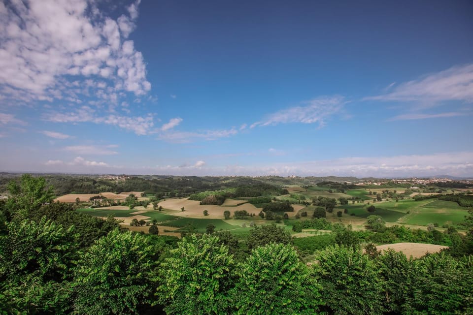 Natural landscape, On site