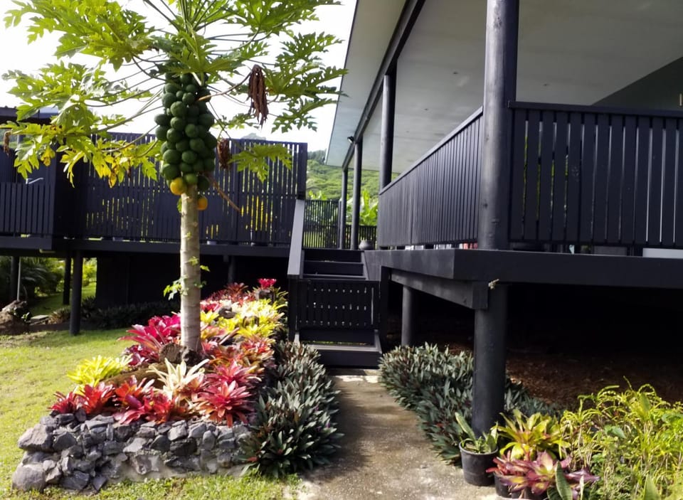 Property building, Garden