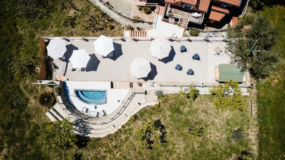 Hot Tub, Solarium, Balcony/Terrace, Lounge or bar, Swimming pool