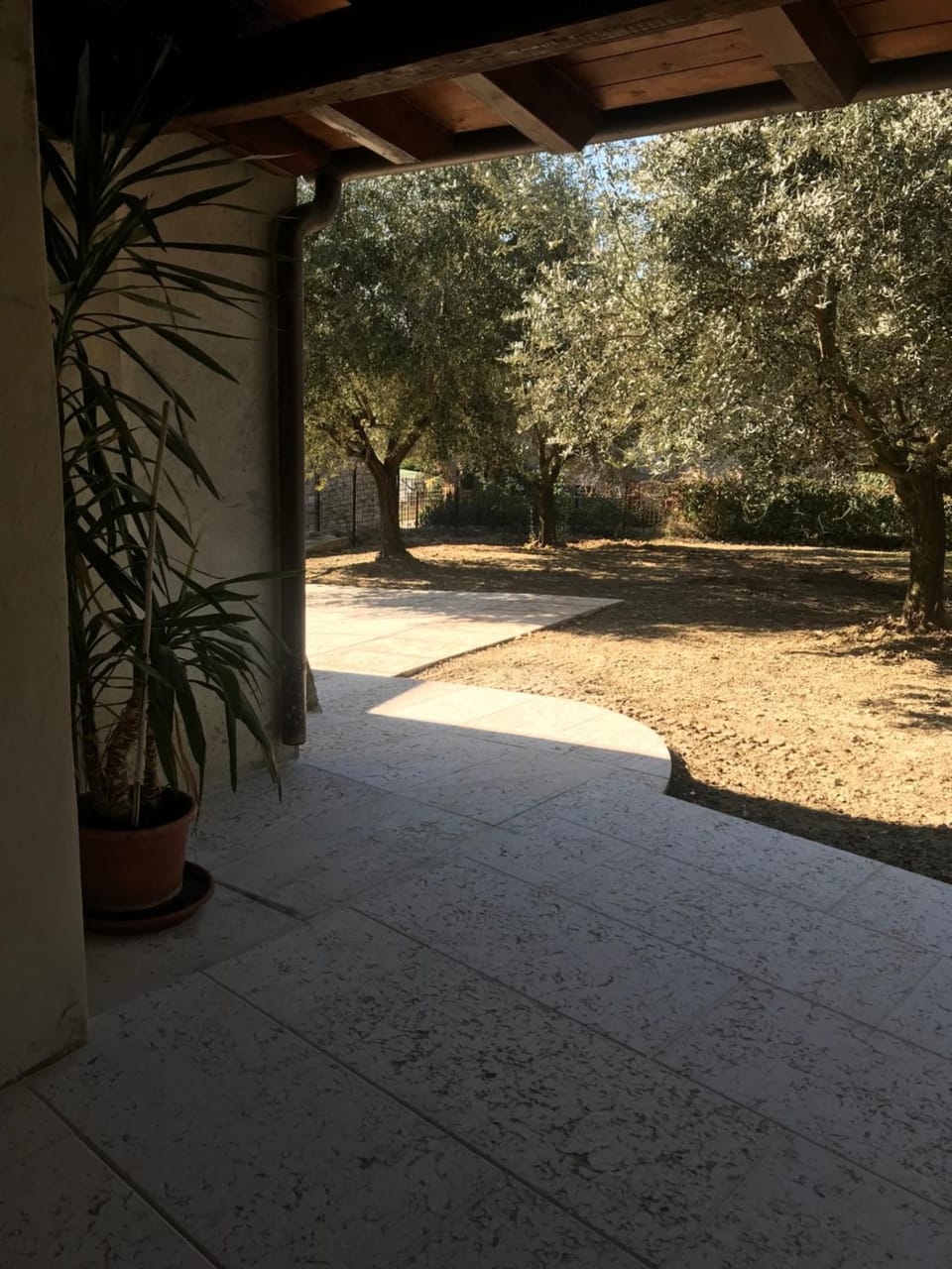Garden view