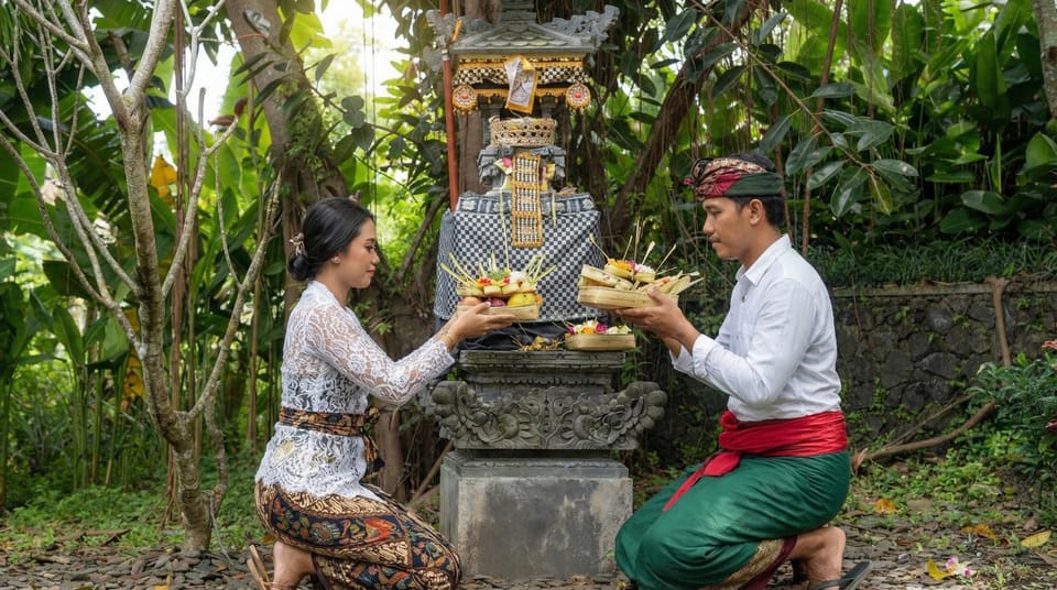 Activities, Garden, Garden view