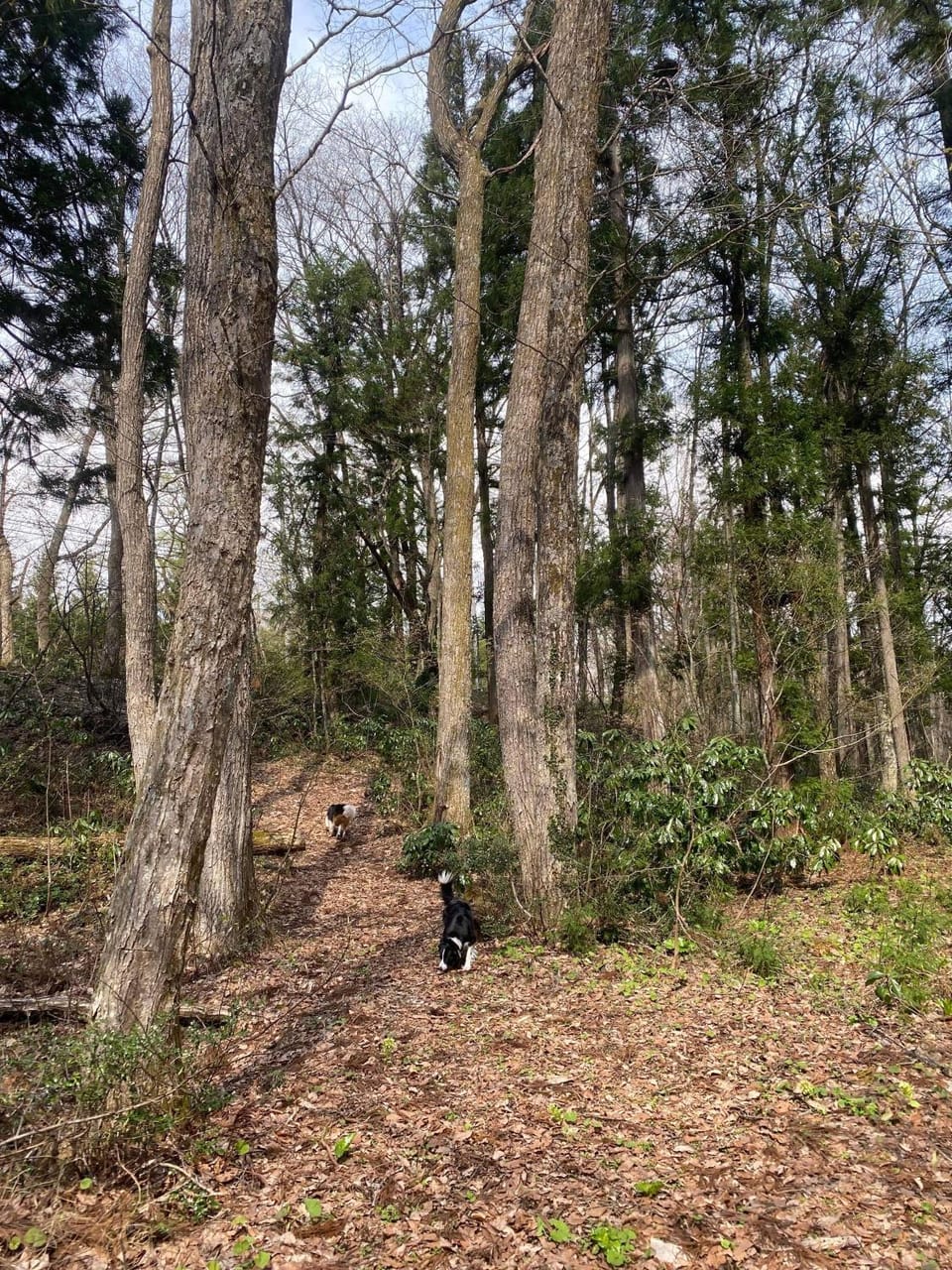 Natural landscape, Garden, Hiking