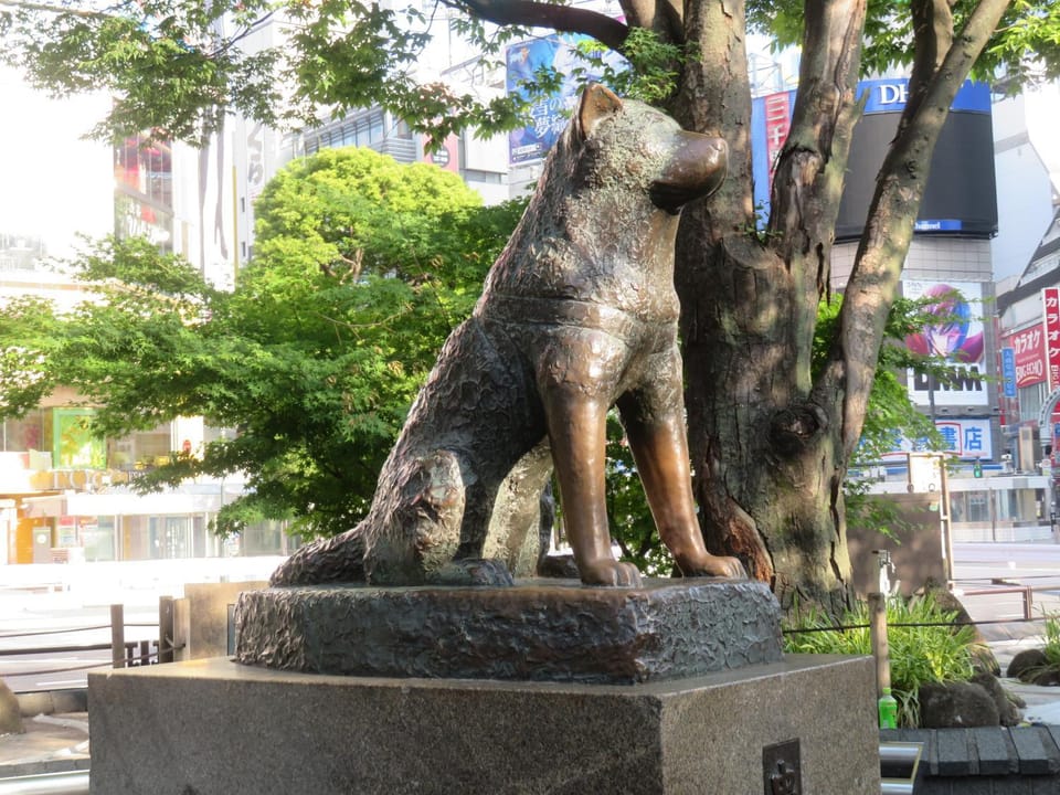 Nearby landmark