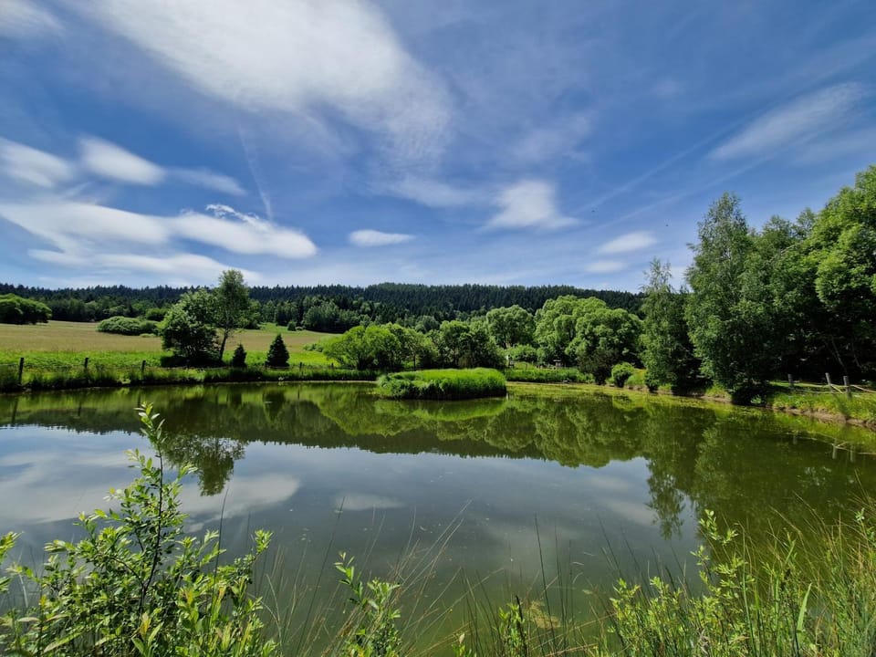 Fishing, On site