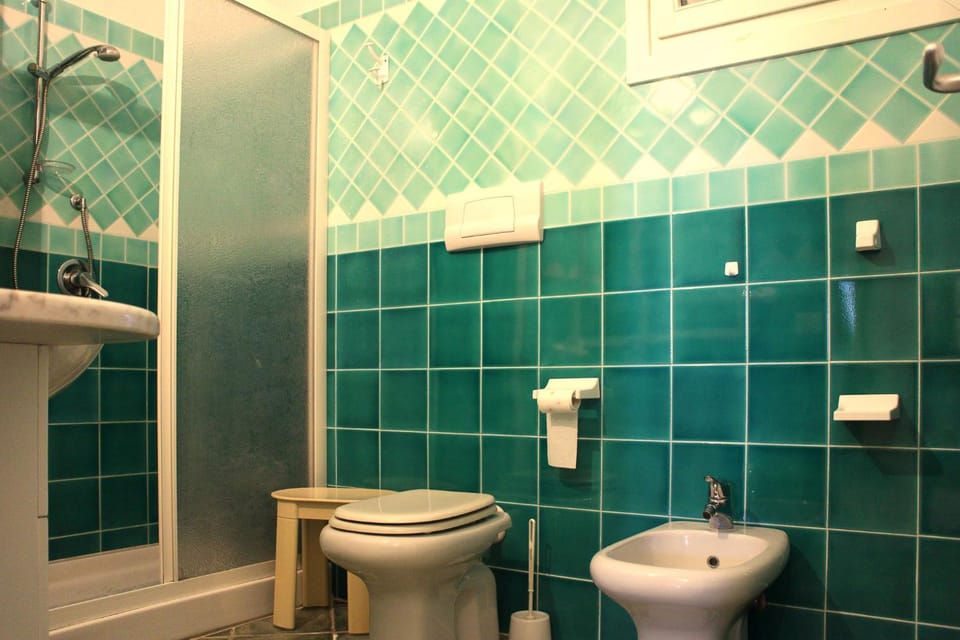 Shower, Toilet, Bathroom, bidet