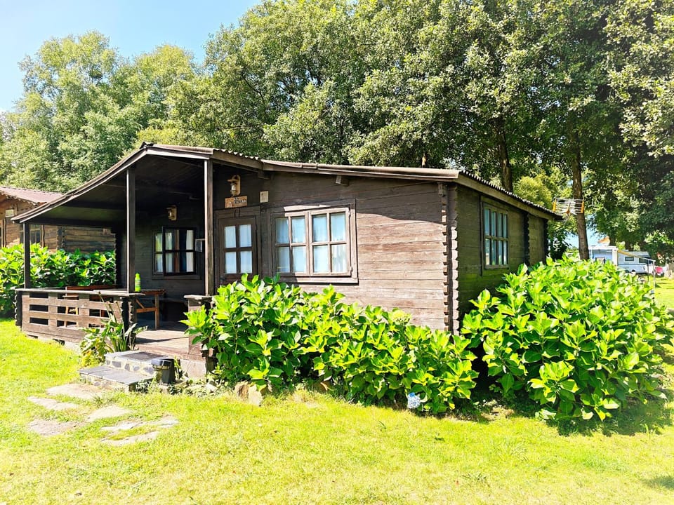Property building, Day, Garden