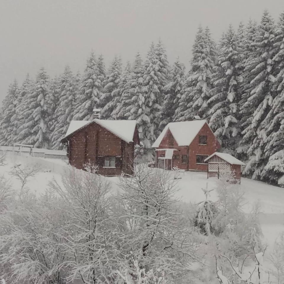 Property building, Neighbourhood, Winter