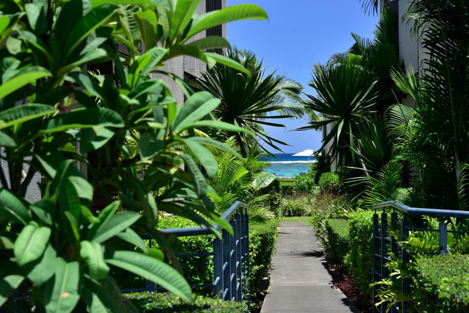 Day, Natural landscape, Garden, Sea view