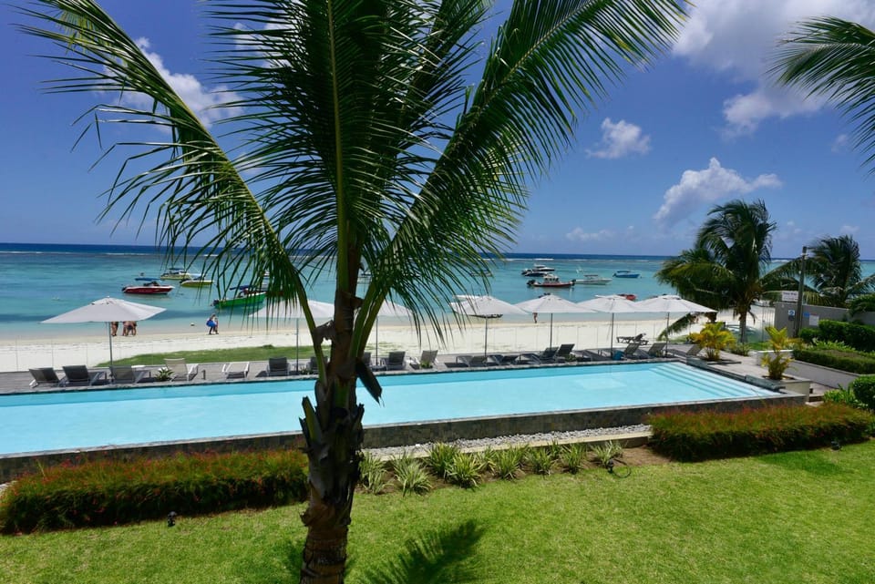 Day, Natural landscape, Garden, Beach, Garden view, Pool view, Sea view, Swimming pool, sunbed