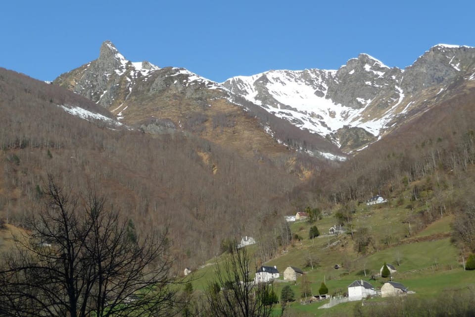 View (from property/room)