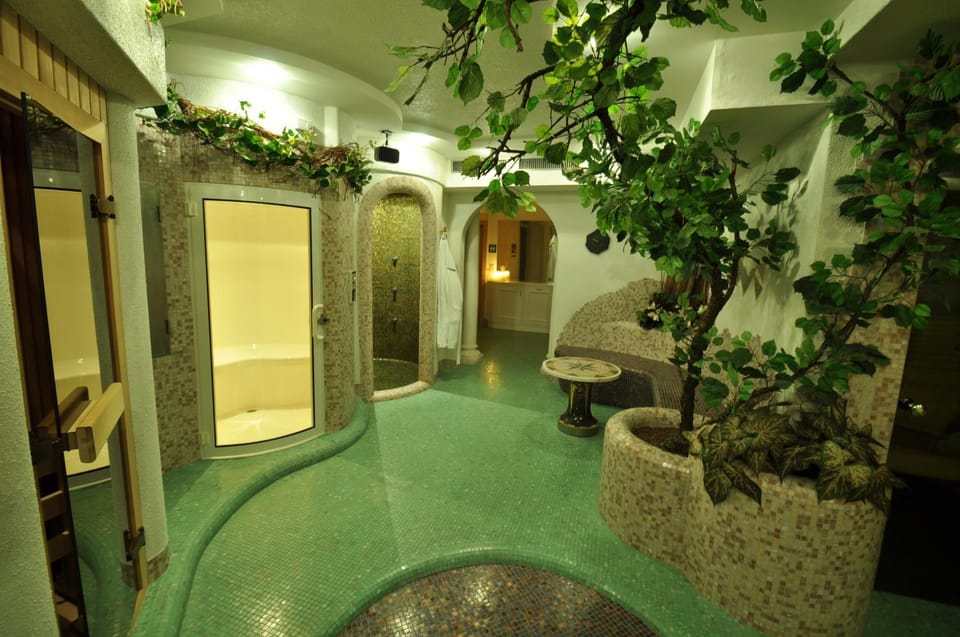 Spa and wellness centre/facilities